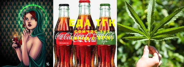 шишки Алзамай