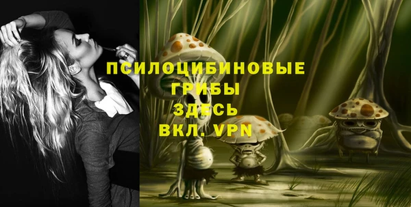 шишки Алзамай