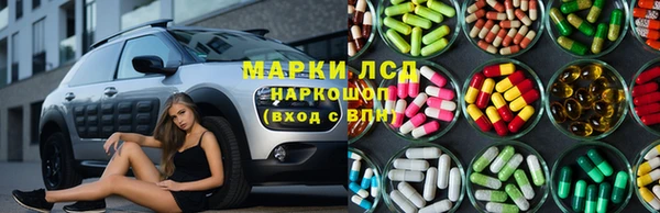 шишки Алзамай