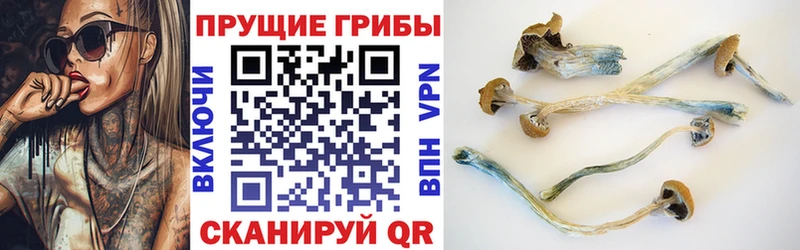 Галлюциногенные грибы Magic Shrooms Макушино