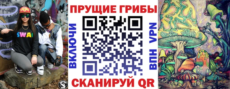 купить закладку  MEGA ТОР  Псилоцибиновые грибы мицелий  Макушино 